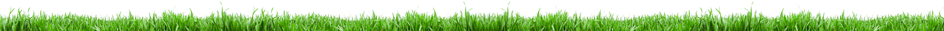 Tellora-expert-administration-bases-de-donnees-Oracle-Paris Tellora-expert-administration-bases-de-donnees-Oracle